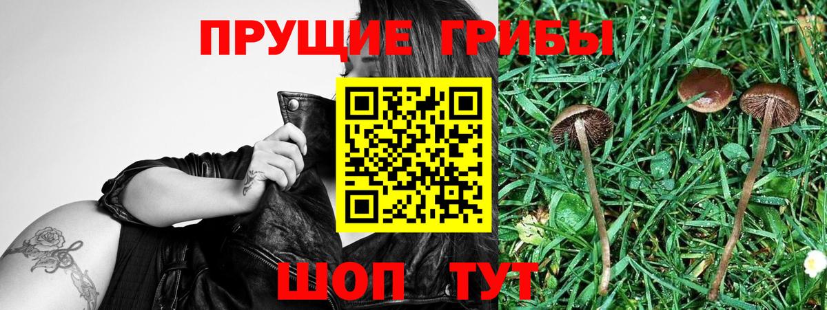 Псилоцибиновые грибы мухоморы  Вход с VPN  Псилоцибиновые грибы ЛСД  Сосновоборск 